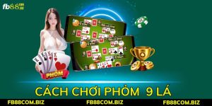 Cách Chơi Phỏm 9 Lá Bí Kíp Chơi Luôn Thắng