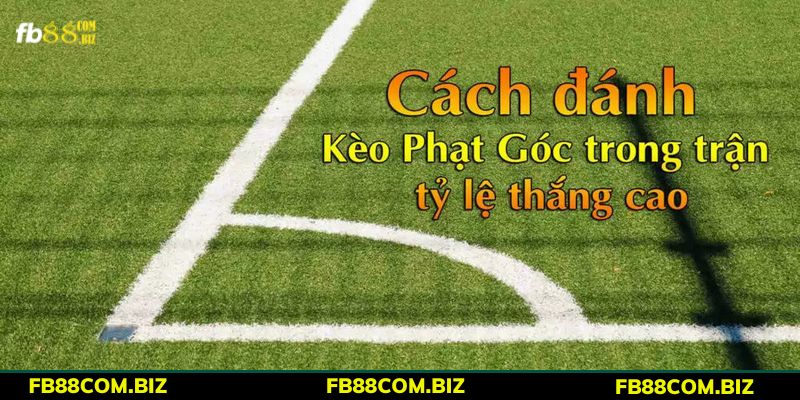 Cách bắt kèo phạt góc chuẩn, dễ dàng mà mọi người nên biết